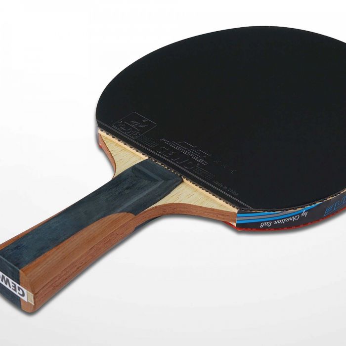 GEWO CS ENERGY CARBON racket