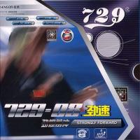 729-08 DHS Coating
