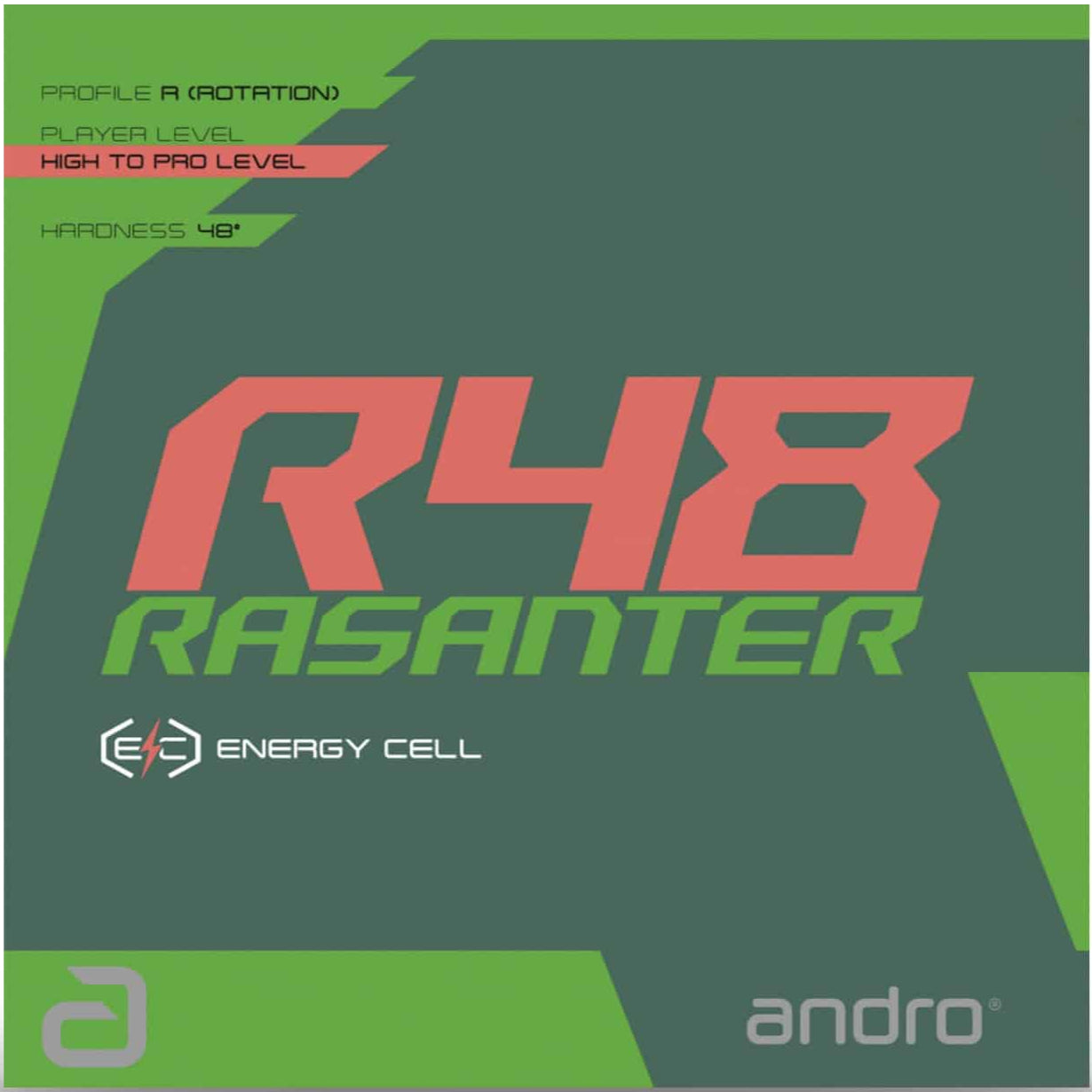 Recubrimiento ANDRO RASANTER R48