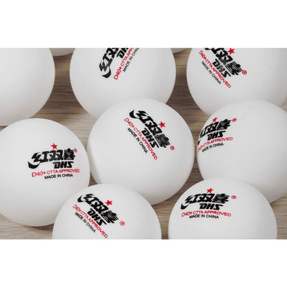 10x Balles DHS 1 étoile D40+