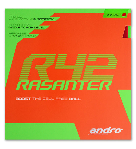 Recubrimiento ANDRO RASANTER R42