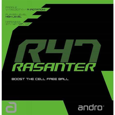 Recubrimiento ANDRO RASANTER R47