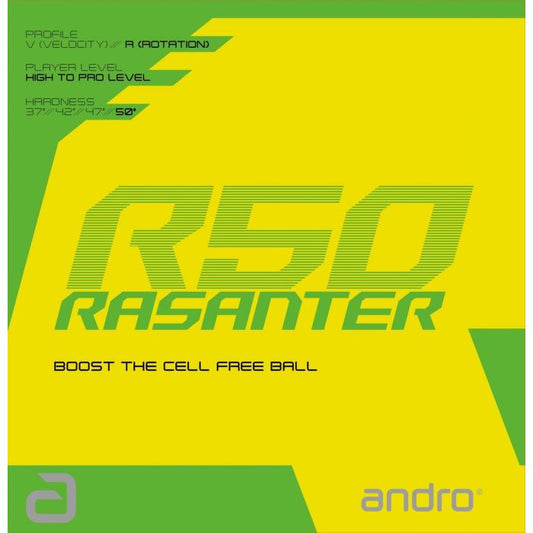 Recubrimiento ANDRO RASANTER R50